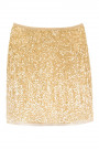 Sequin Shining Mini Skirt in Gold
